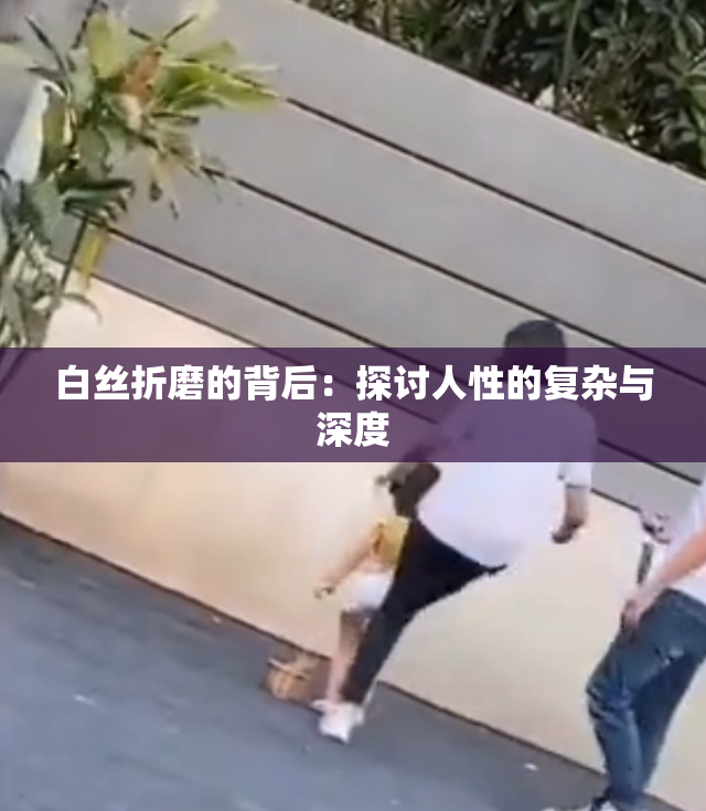 白丝折磨的背后：探讨人性的复杂与深度