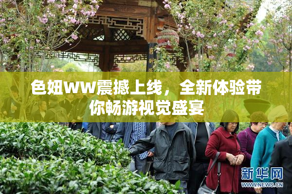 色妞WW震撼上线，全新体验带你畅游视觉盛宴
