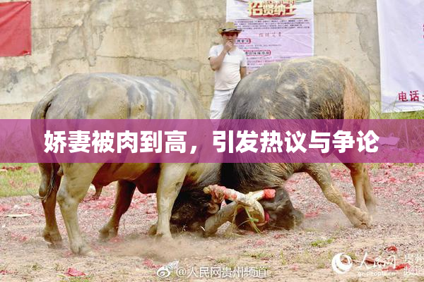 娇妻被肉到高，引发热议与争论