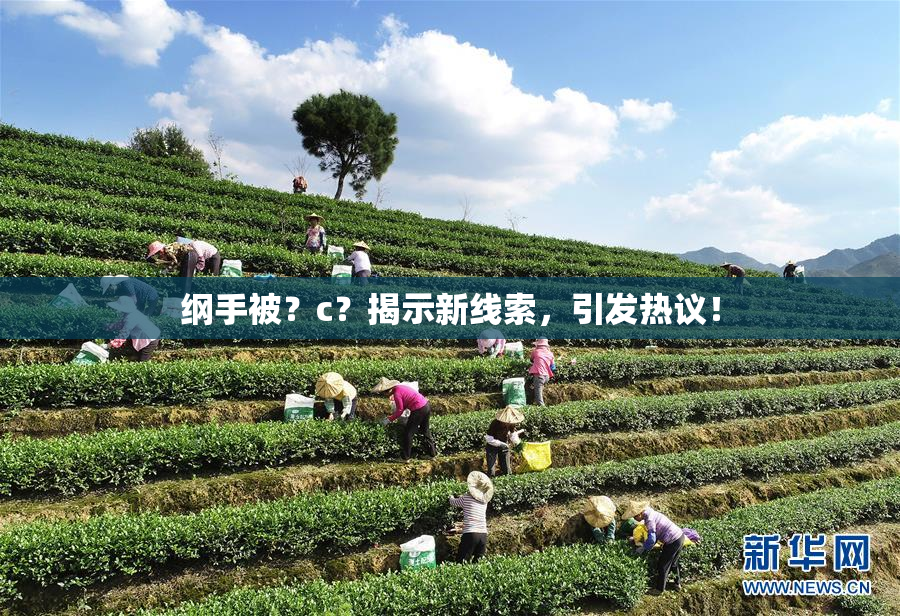 纲手被？c？揭示新线索，引发热议！