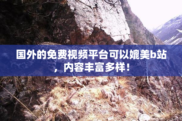 国外的免费视频平台可以媲美b站，内容丰富多样！