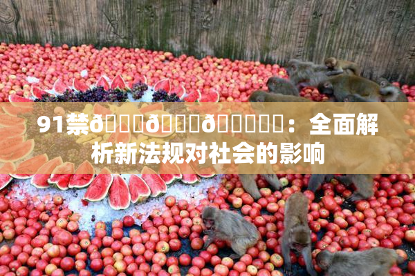 91禁🍆🍑🔞❌‌：全面解析新法规对社会的影响