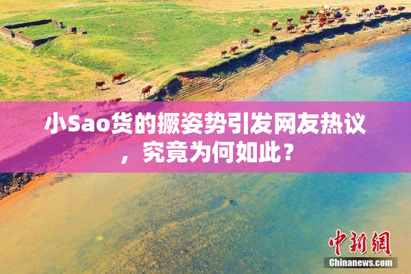 小Sao货的撅姿势引发网友热议，究竟为何如此？