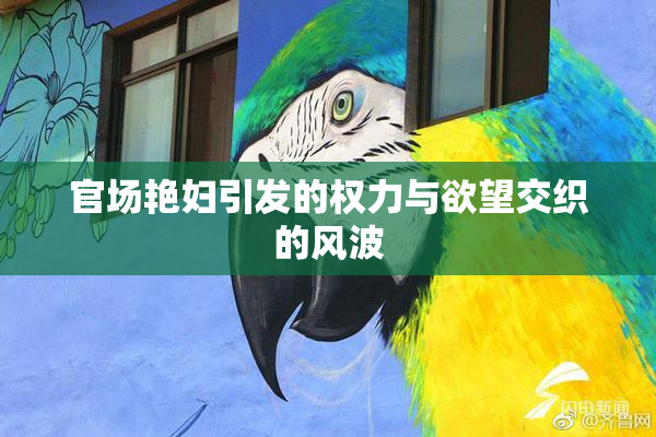 官场艳妇引发的权力与欲望交织的风波