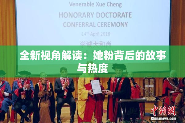 全新视角解读：她粉背后的故事与热度