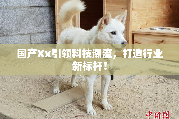 国产Xx引领科技潮流，打造行业新标杆！