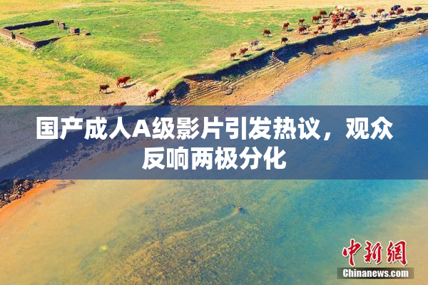 国产成人A级影片引发热议，观众反响两极分化