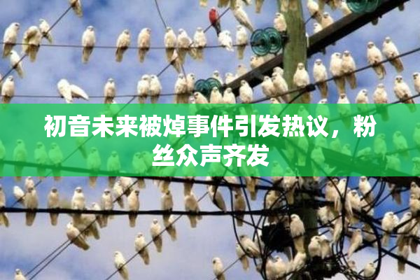 初音未来被焯事件引发热议，粉丝众声齐发