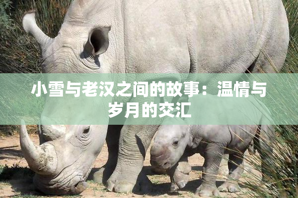 小雪与老汉之间的故事：温情与岁月的交汇