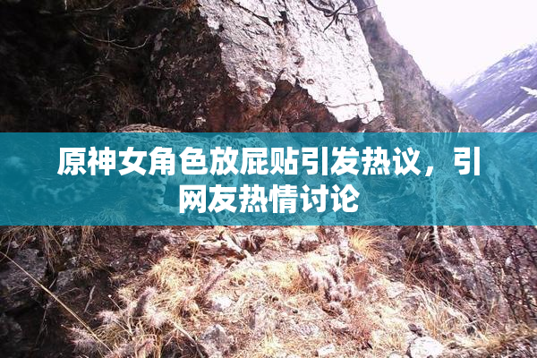 原神女角色放屁贴引发热议，引网友热情讨论