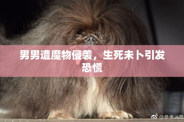 男男遭魔物侵袭，生死未卜引发恐慌