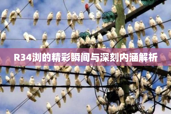 R34浏的精彩瞬间与深刻内涵解析