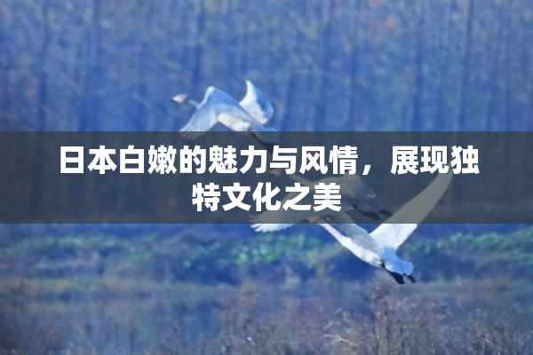 日本白嫩的魅力与风情，展现独特文化之美