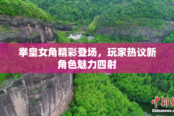 拳皇女角精彩登场，玩家热议新角色魅力四射