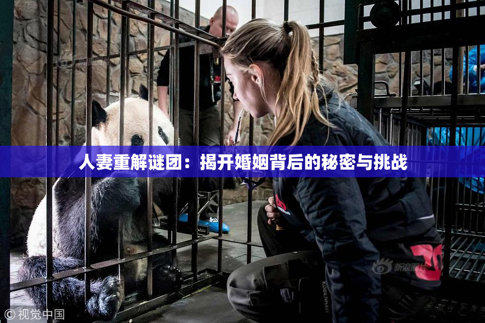 人妻重解谜团：揭开婚姻背后的秘密与挑战