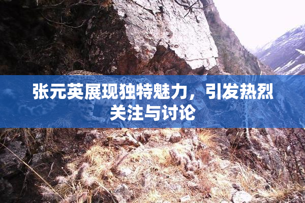 张元英展现独特魅力，引发热烈关注与讨论