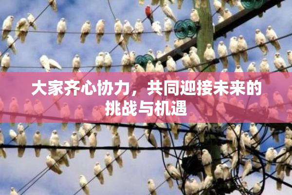 大家齐心协力，共同迎接未来的挑战与机遇