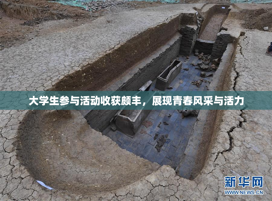 大学生参与活动收获颇丰，展现青春风采与活力