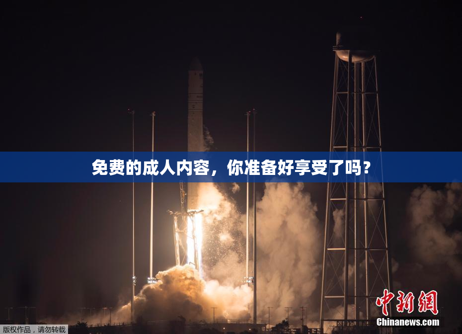 免费的成人内容，你准备好享受了吗？