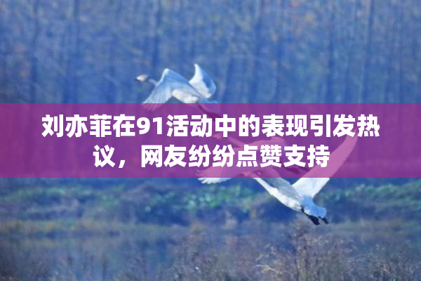 刘亦菲在91活动中的表现引发热议，网友纷纷点赞支持