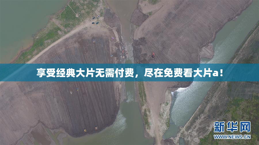 享受经典大片无需付费，尽在免费看大片a！