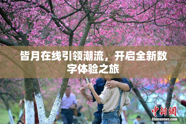 皆月在线引领潮流，开启全新数字体验之旅