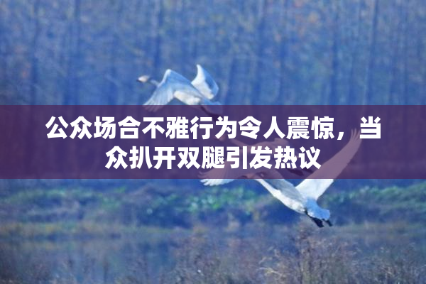 公众场合不雅行为令人震惊，当众扒开双腿引发热议
