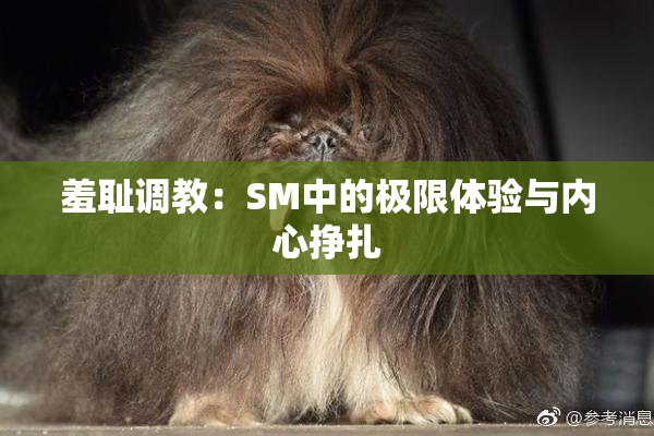 羞耻调教：SM中的极限体验与内心挣扎