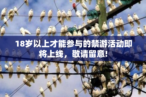 18岁以上才能参与的禁游活动即将上线，敬请留意!