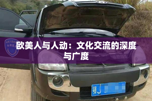 欧美人与人动：文化交流的深度与广度