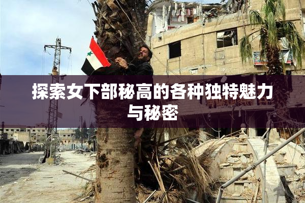 探索女下部秘高的各种独特魅力与秘密