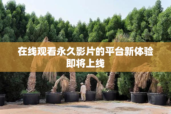 在线观看永久影片的平台新体验即将上线