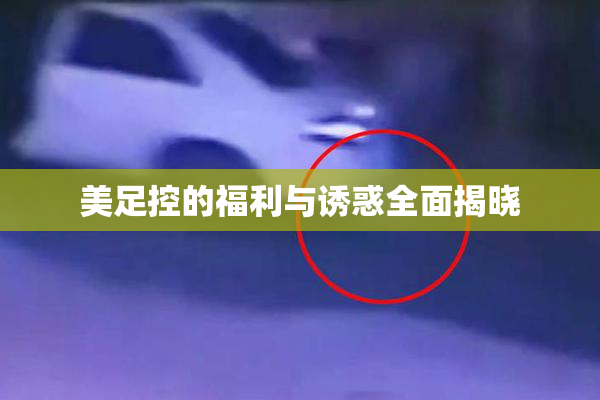 美足控的福利与诱惑全面揭晓