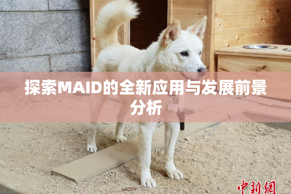 探索MAID的全新应用与发展前景分析