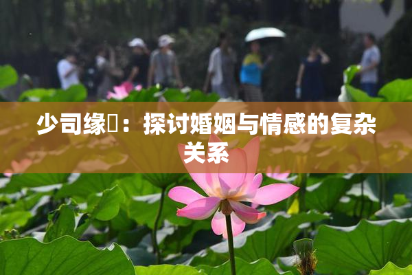 少司缘婬：探讨婚姻与情感的复杂关系