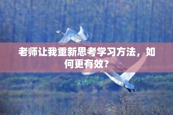 老师让我重新思考学习方法，如何更有效？