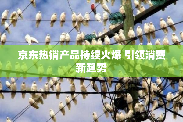 京东热销产品持续火爆 引领消费新趋势
