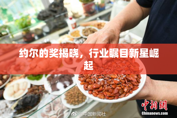 约尔的奖揭晓，行业瞩目新星崛起