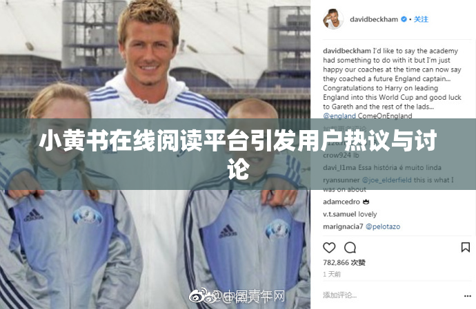 小黄书在线阅读平台引发用户热议与讨论