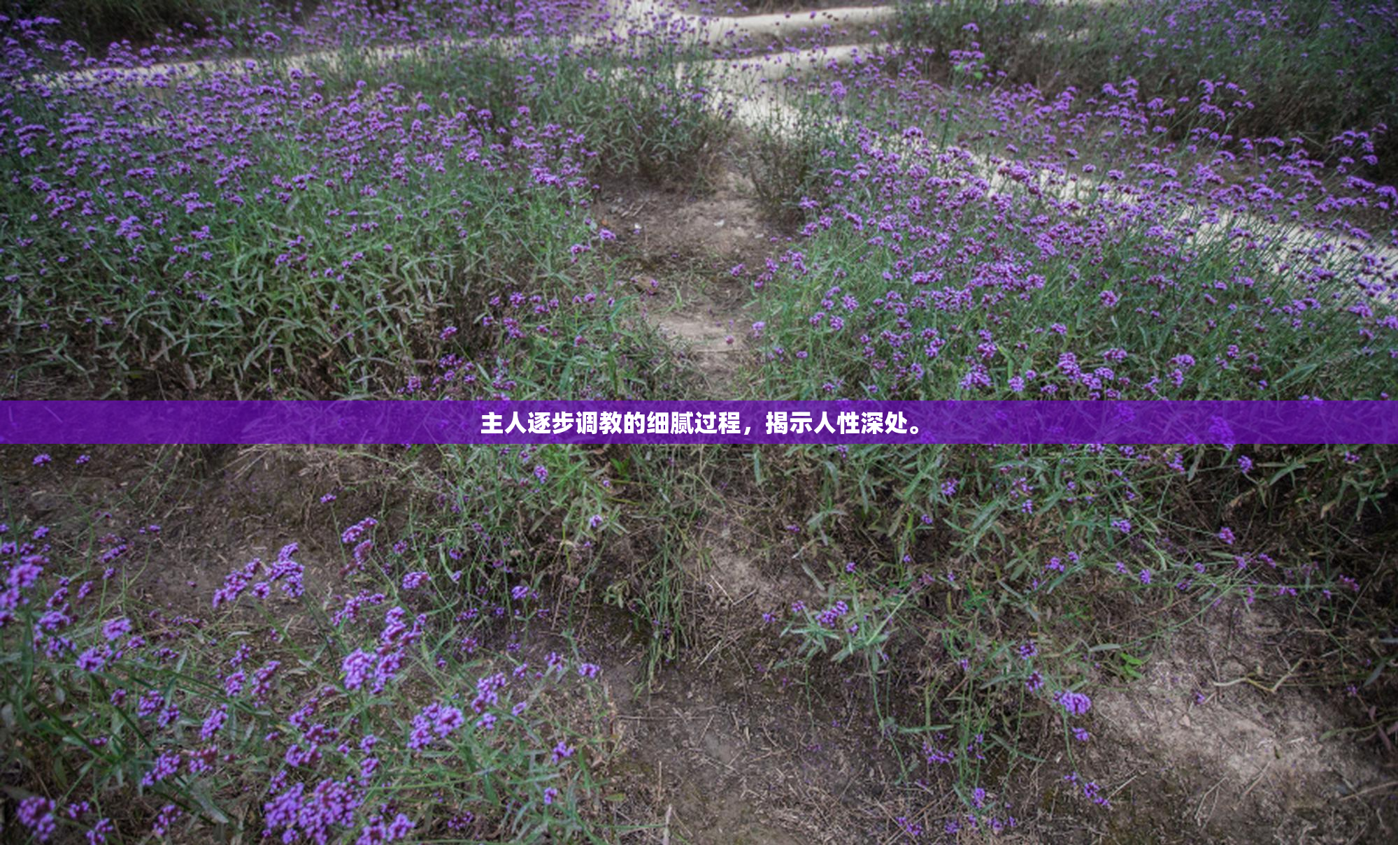 主人逐步调教的细腻过程，揭示人性深处。