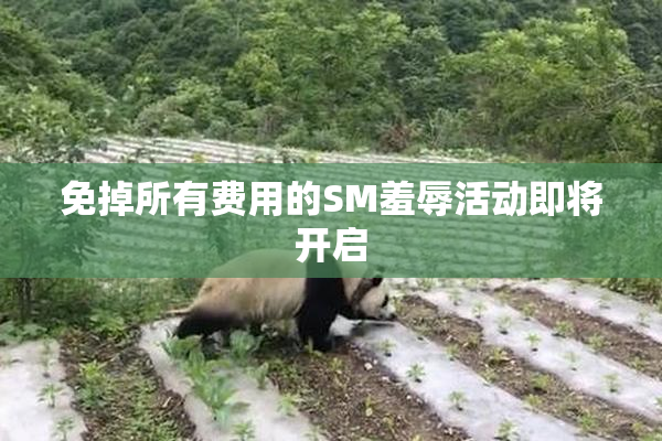 免掉所有费用的SM羞辱活动即将开启