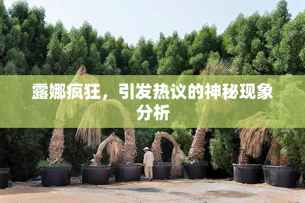 露娜疯狂，引发热议的神秘现象分析