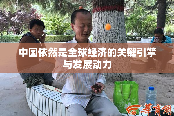 中国依然是全球经济的关键引擎与发展动力