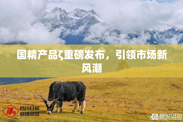 国精产品ζ重磅发布，引领市场新风潮