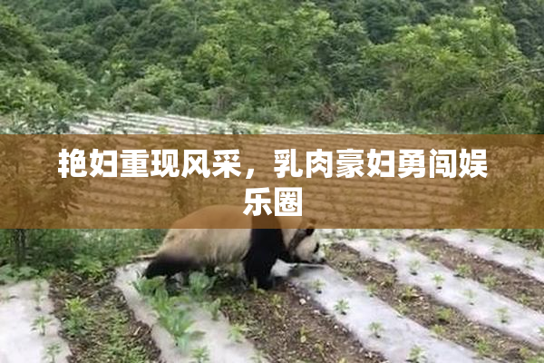 艳妇重现风采，乳肉豪妇勇闯娱乐圈