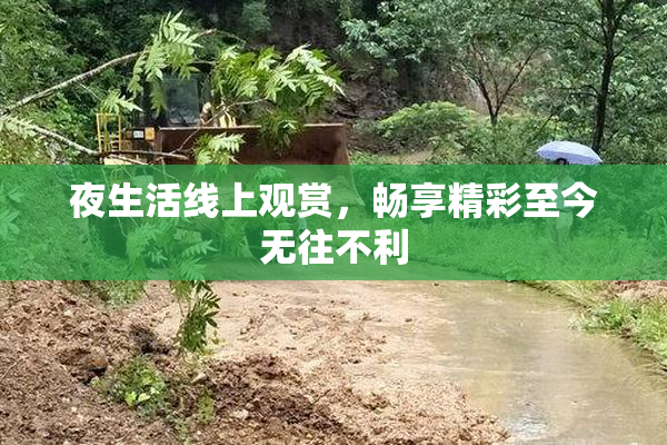 夜生活线上观赏，畅享精彩至今无往不利