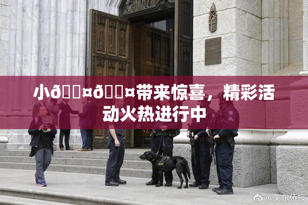 小🐤🐤带来惊喜，精彩活动火热进行中