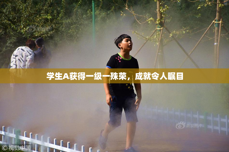 学生A获得一级一殊荣，成就令人瞩目