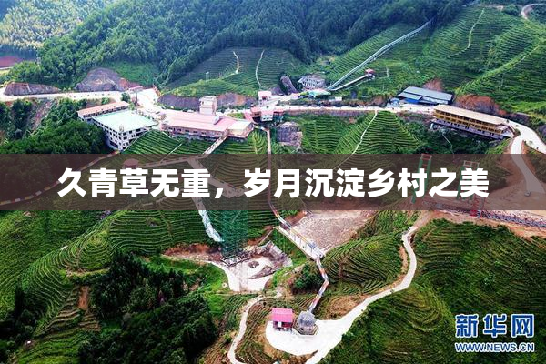 久青草无重，岁月沉淀乡村之美