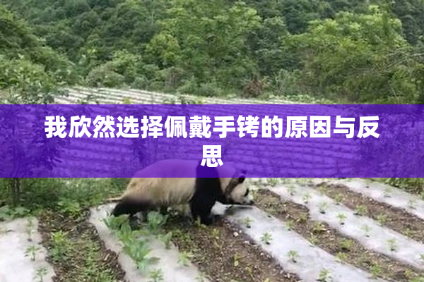 我欣然选择佩戴手铐的原因与反思